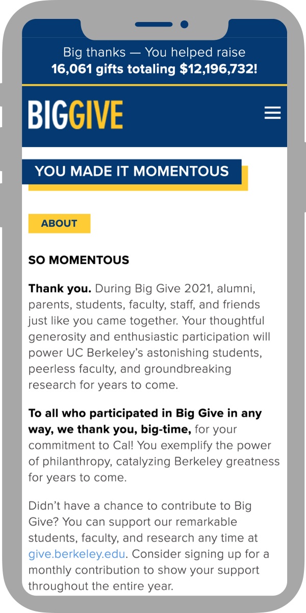 Big Give website homepage screenshot
