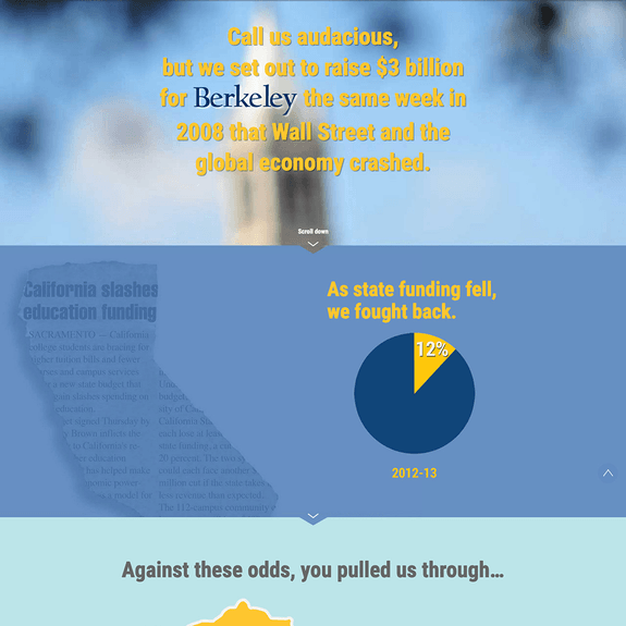 Campaign for Berkeley website homepage screenshot